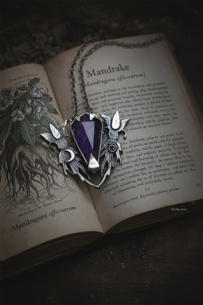 Root of the Witch’s Coven